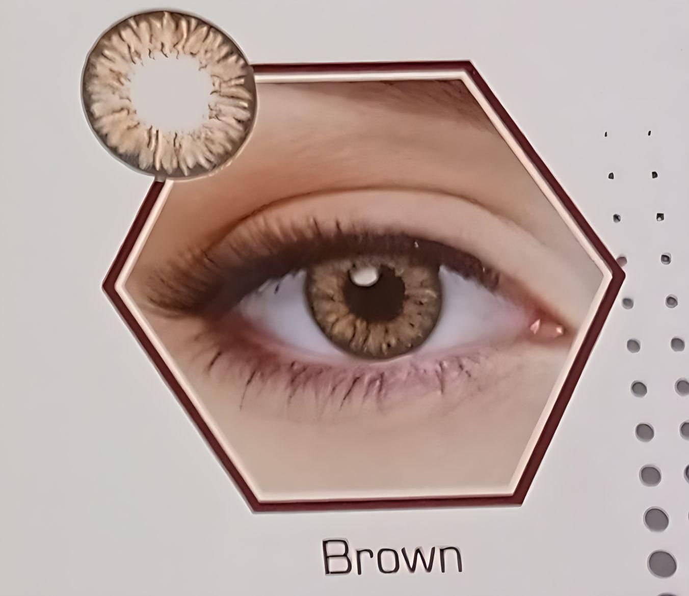 Modern Brown Summer Edition